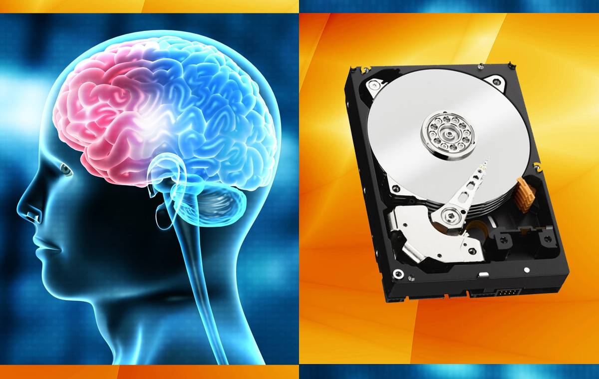 Brain Hard Drive Your Thoughts